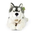 Rappa Plush husky dog with collar lying 60 cm ECO-FRIENDLY