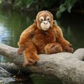 Rappa Plush orangutan monkey 27 cm ECO-FRIENDLY
