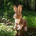 Rappa Plush Rabbit 30 cm ECO-FRIENDLY