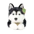 Rappa Plush dog husky 36 cm ECO-FRIENDLY