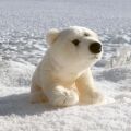 Rappa Plush polar bear 25 cm ECO-FRIENDLY