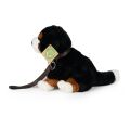 Rappa Plush Bernese Mountain Dog sitting with leash and sound 20 cm ECO-FRIENDLY