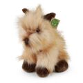 Rappa Plush dog cairnterrier 30 cm ECO-FRIENDLY