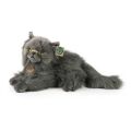 Rappa Plush Persian cat 28 cm ECO-FRIENDLY