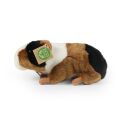 Rappa Plush guinea pig 22 cm ECO-FRIENDLY