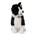 Rappa Plush dog border collie 40 cm ECO-FRIENDLY