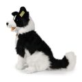 Rappa Plush dog border collie 40 cm ECO-FRIENDLY
