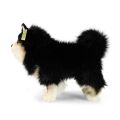Rappa Plush dog lapinkoira 33 cm ECO-FRIENDLY
