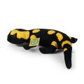 Rappa Plush spotted newt 31 cm ECO-FRIENDLY