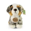 Rappa Plush Dog Australian Shepherd 20 cm ECO-FRIENDLY