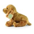 Rappa Plush dog Cocker Spaniel 23 cm ECO-FRIENDLY
