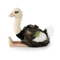 Rappa Plush Ostrich 33 cm ECO-FRIENDLY PLUSH WORLD