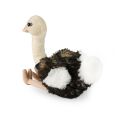 Rappa Plush Ostrich 33 cm ECO-FRIENDLY PLUSH WORLD