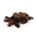Rappa Plush Spider 20 cm ECO-FRIENDLY PLUSH WORLD