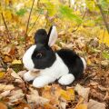 Rappa Plush rabbit white and black lying 23 cm ECO-FRIENDLY
