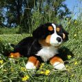 Rappa Plush Bernese Mountain Dog lying 61 cm ECO-FRIENDLY