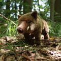Rappa Plush wild pig 30 cm ECO-FRIENDLY