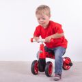 Diditrike bouncer ladybug