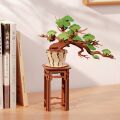 RoboTime 3D wooden puzzle Bonsai pine