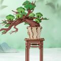RoboTime 3D wooden puzzle Bonsai pine