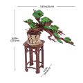 RoboTime 3D wooden puzzle Bonsai pine