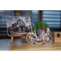 Ugears 3D Wooden Mechanical Puzzle Wheel Holland