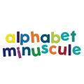 Vilac Wooden Magnetic Alphabet Small Letters 80 pcs