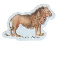 Vilac Zoo de Buffon Magnets
