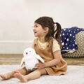 Rainbow Harry Potter Stuffed Owl Hedwig