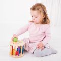 Bigjigs Baby Roller with shapes