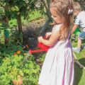 Bigjigs Toys Red Teapot