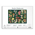 Galison Puzzle World of Mushrooms 1000 pieces