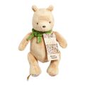 Rainbow Plush Winnie the Pooh with green bow 22 cm