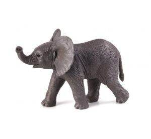 Mojo Elephant African elephant playing