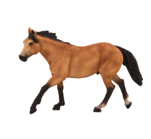 Mojo Quarter horse float
