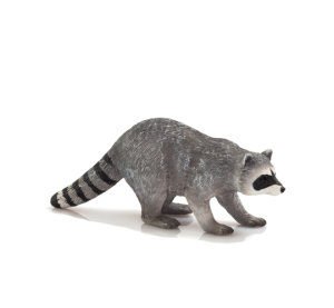 Mojo Raccoon