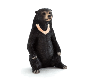 Mojo Malayan Bear