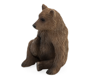 Mojo Bear grizzly cub