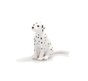 Mojo Dalmatian puppy