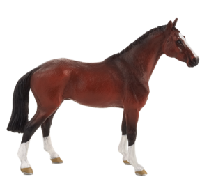 Mojo Dutch Warmblood