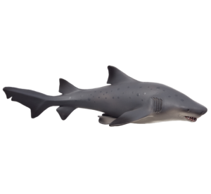 Mojo Great White Shark