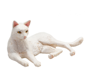 Mojo Cat white lying