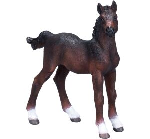 Mojo Hanoverian colt brown