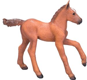 Mojo Arabian colt light bay