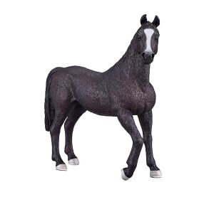 Mojo Arabian Stallion Black