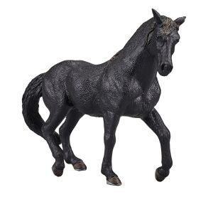 Mojo Andalusian horse black