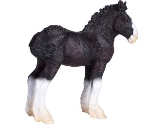 Mojo Shire horse foal