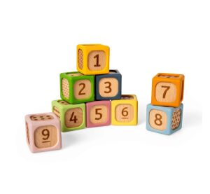 Bigjigs Toys Sorting Blocks