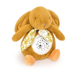 Doudou Play box with projection Rabbit brown