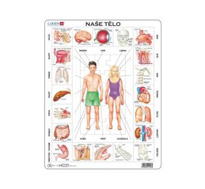 Larsen Educational Puzzle Our Body 35 pieces
